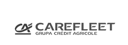 Carefleet